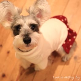 yucco*さんの作品