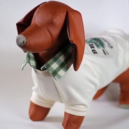 Princessmiyaさんの作品