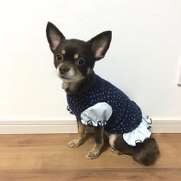 ゆずさんの作品