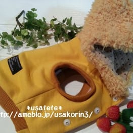 usakorinさんの作品