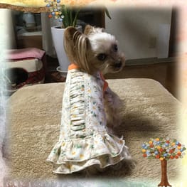 か〜ちゃさんの作品