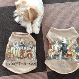 randymikioさんの作品