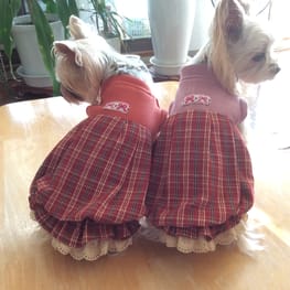 か〜ちゃさんの作品