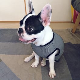 makiron0207さんの作品