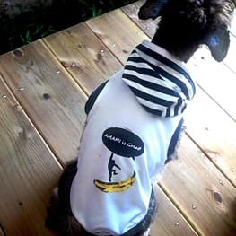 かんれいさんの作品