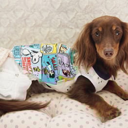 mamehanasoraさんの作品