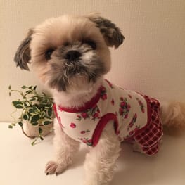 かよママさんの作品