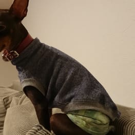 ちょこくろさんの作品