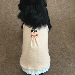 ちわはなさんの作品