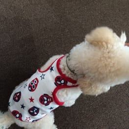 potetoさんの作品