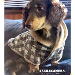 akizoo88さんの作品