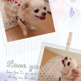 かよママさんの作品