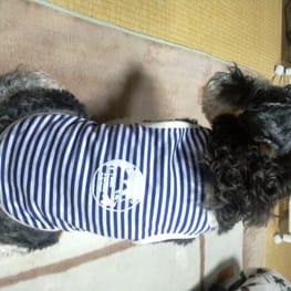 かんれいさんの作品