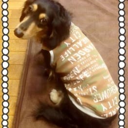 かんれいさんの作品