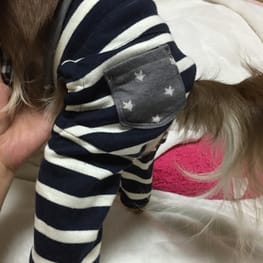 chicchi315さんの作品