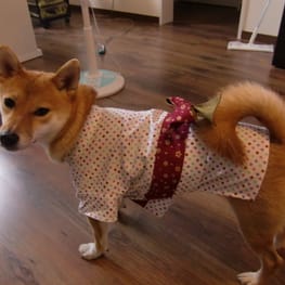 豆子さんの作品