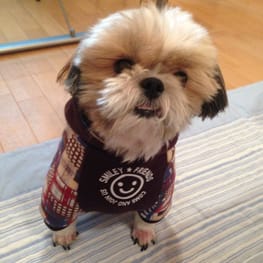 かよママさんの作品