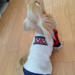 ココ母さんの作品