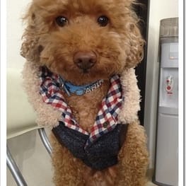 blancoさんの作品