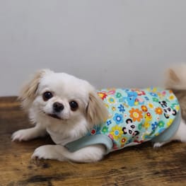 おとしらママさんの作品