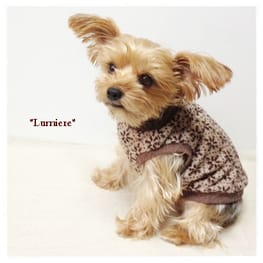 Lumiereさんの作品