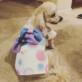 みゆきさんの作品