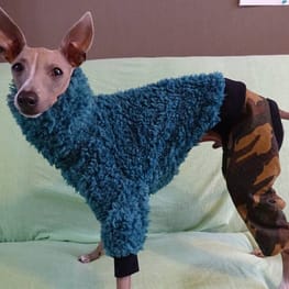 ちょここさんの作品