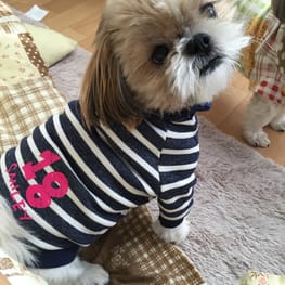 かよママさんの作品