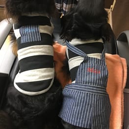 みちもこさんの作品