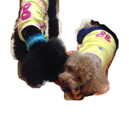 M・trueさんの作品