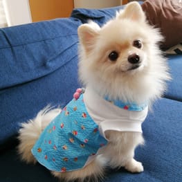 にこママさんの作品