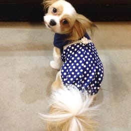 Dwarfさんの作品