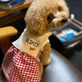 あ～すけさんの作品