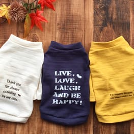 roncoさんの作品