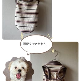 てんちゃんままさんの作品