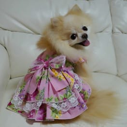 feelgoodさんの作品