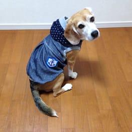 ビーグル桃さんの作品