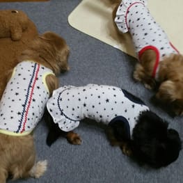 ちみさんの作品