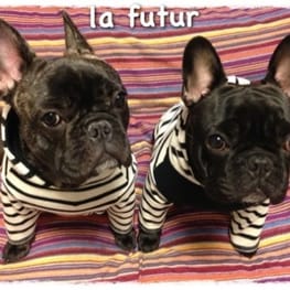 boom3tanさんの作品