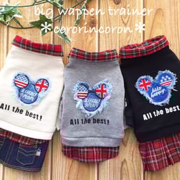 roncoさんの作品