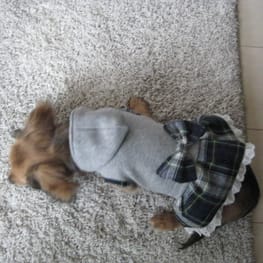 korino-rinoさんの作品