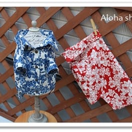 TIROLKKUSUさんの作品