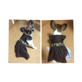 マメココさんの作品