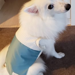 はるさんの作品