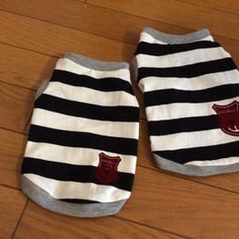 テンビビさんの作品