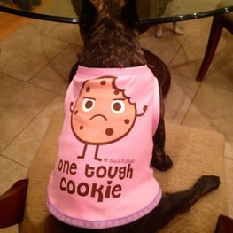 Peasnatchさんの作品