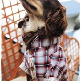 akizoo88さんの作品