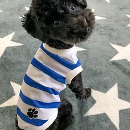 ちゃちゃさんの作品