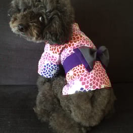 sallyさんの作品