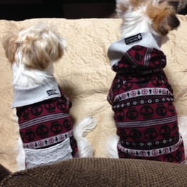 randymikioさんの作品